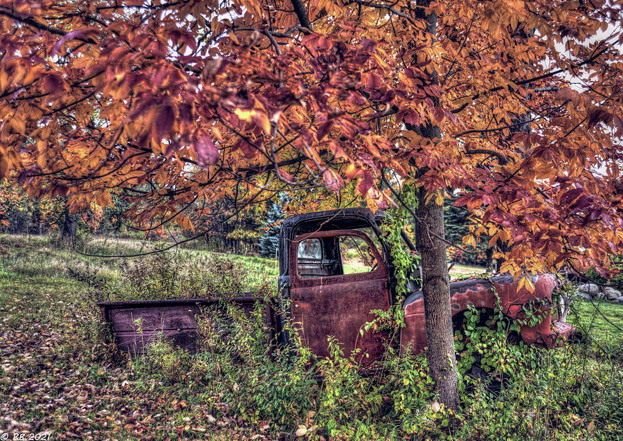 Another Autumn #2 Photograph by Richard Bean