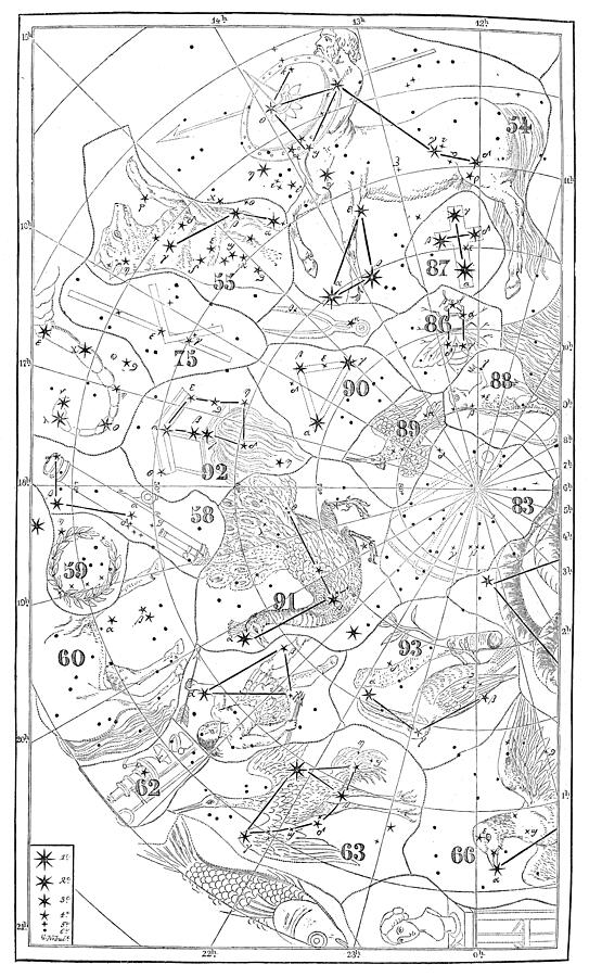 Antique illustration: zodiac astrology constellations (series of 12) #2 Drawing by Ilbusca