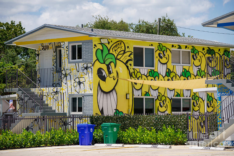 Apartment Housing In Lemon City Little Haiti Colorful Art Mural ...