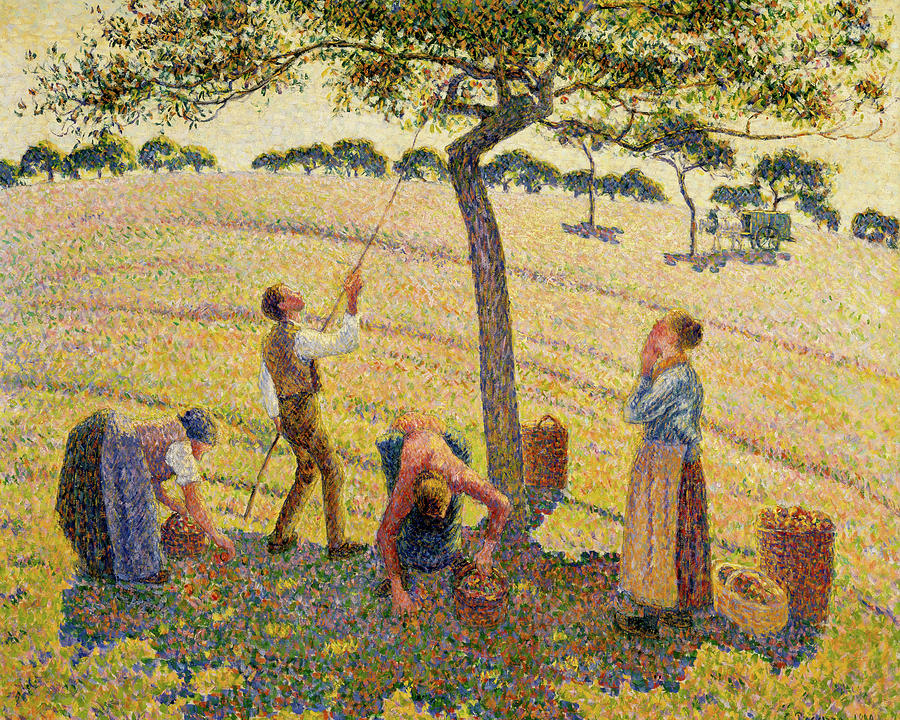 Camille Pissarro Painting - Apple harvest at Eragny #2 by Camille Pissarro