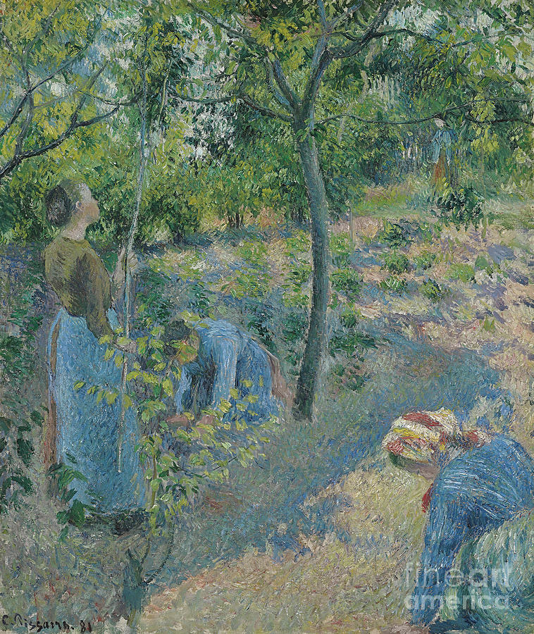 Apple Picking, 1881 Painting by Camille Pissarro