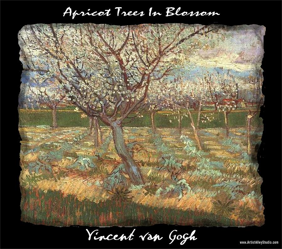 Apricot Trees In Blossom - VVG Painting by The GYPSY and Mad Hatter