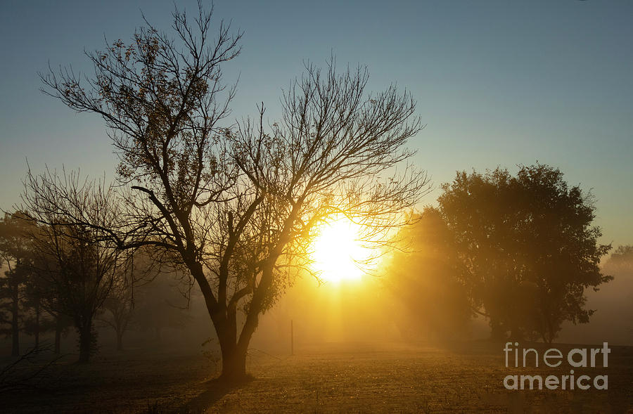 Arkansas Sunrise #2 Photograph by Garry McMichael
