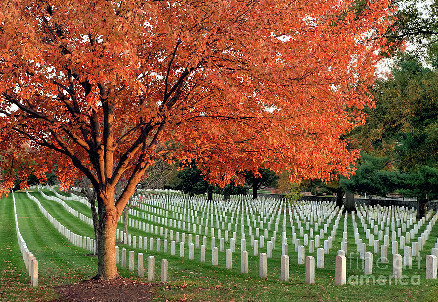 Arlington National Cemetery Photograph