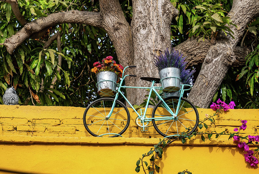 Around Town Mazatlan Mexico #2 Photograph by Tommy Farnsworth