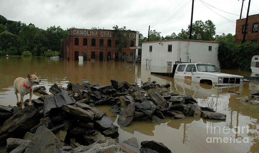 Asheville Flood Photograph By David Oppenheimer - Fine Art America