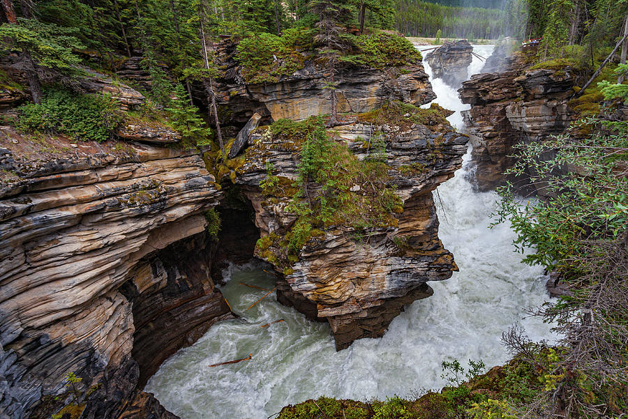 Athabasca Falls #1 Photograph by Tommy Farnsworth