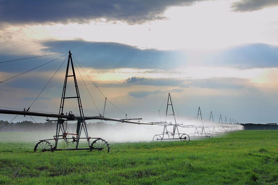 Automatic Irrigation Of Agriculture Field #2 Photograph by Mikhail Kokhanchikov