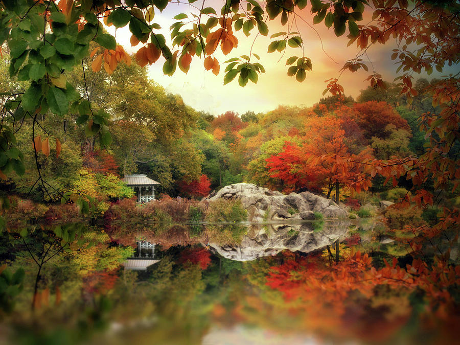 Central Park Photograph - Autumn at Hernshead #2 by Jessica Jenney