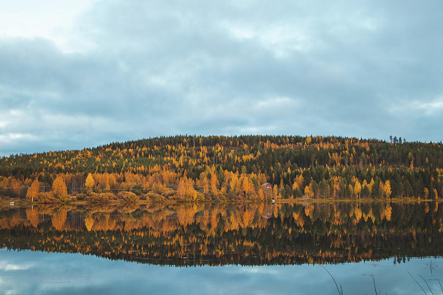 Autumn fairy tale in Kainuu, Finland #2 Photograph by Vaclav Sonnek