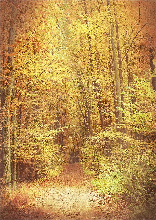 Tree Photograph - Autumn Forest #12 by Slawek Aniol