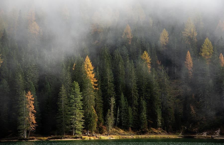 Autumn forest mountain landscape dolomiti mountains Italy #2 Photograph by Michalakis Ppalis
