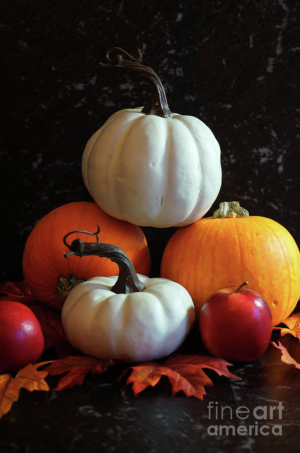 Autumn harvest, diverse assortment of pumpkins on a black marble table counter. #2 Photograph by Milleflore Images