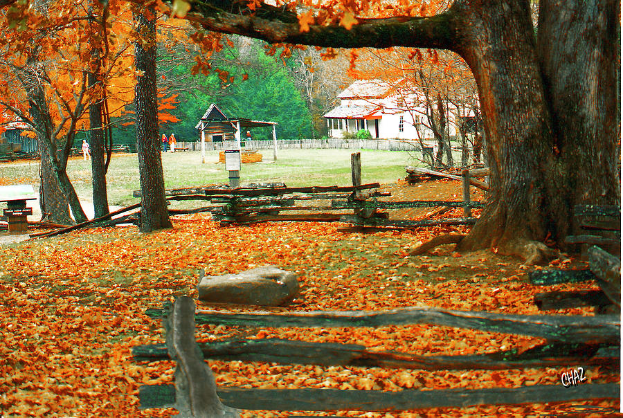 Fall Painting - Autumn In Cades Cove #1 by CHAZ Daugherty