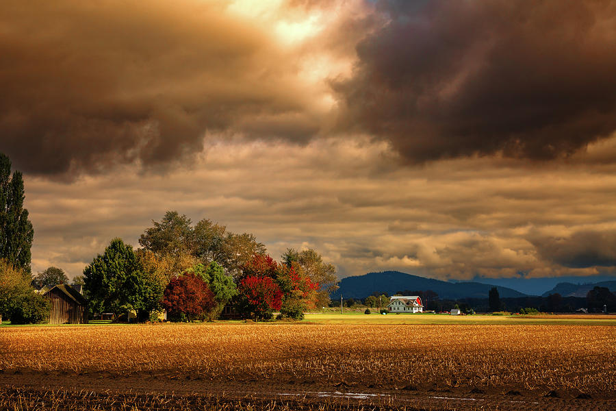 Autumn in Mount Vernon #2 Photograph by David Patterson