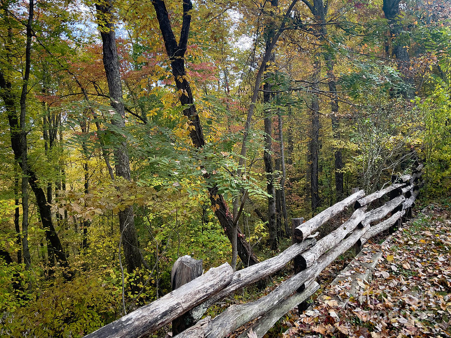 Fall Photograph - Autumn in North Carolina 3 #2 by Edward Sobuta