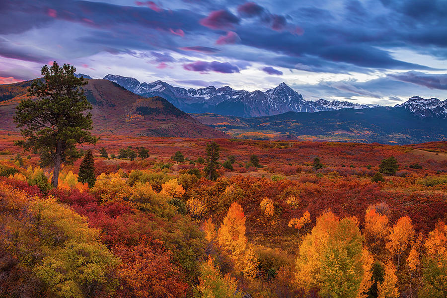 Autumn in the Rockies Photograph by Andrew Soundarajan - Fine Art America