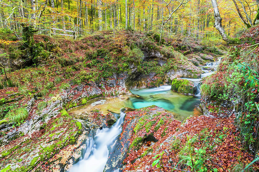 Autumn In The Woods And In The Magical Stream. Arzino, Place Of Fairies. Photograph