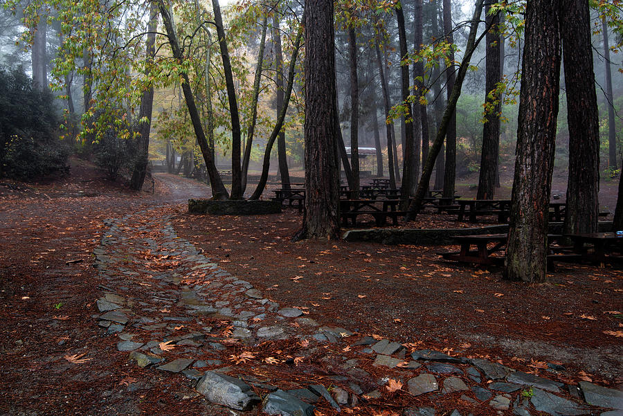 Autumn landscape with trees and Autumn leaves on the ground after rain #7 Photograph by Michalakis Ppalis