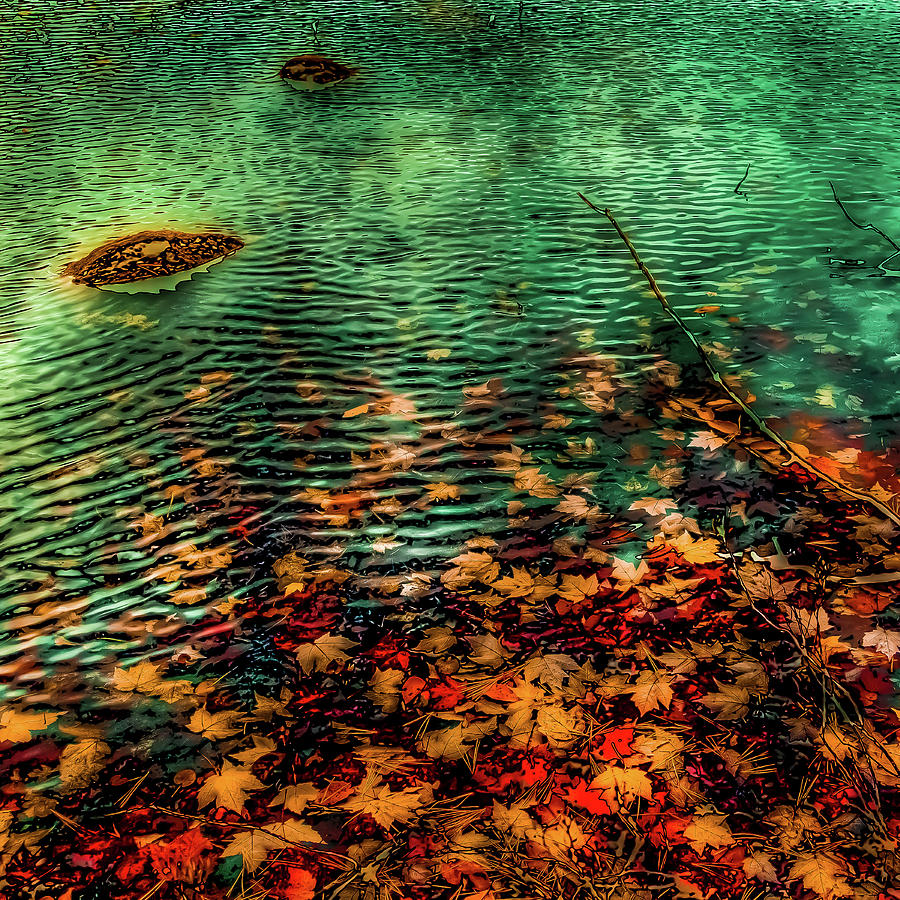 Fall Photograph - Autumn on the Shore #2 by David Patterson