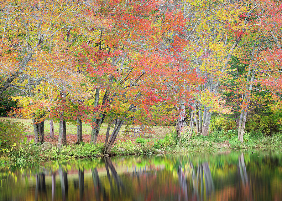 Autumn Trees by a Tranquil Lake Photograph - Autumn Reflections #2 by Dave King
