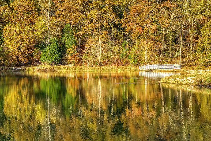 Autumn Reflections #2 Photograph by Scott Wood
