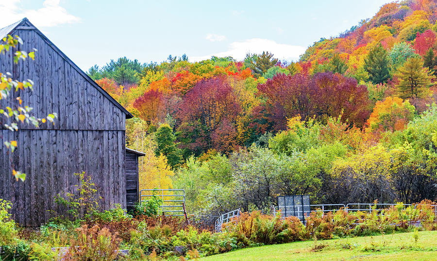 Autumn scene in Vermont #2 Photograph by Ann Moore