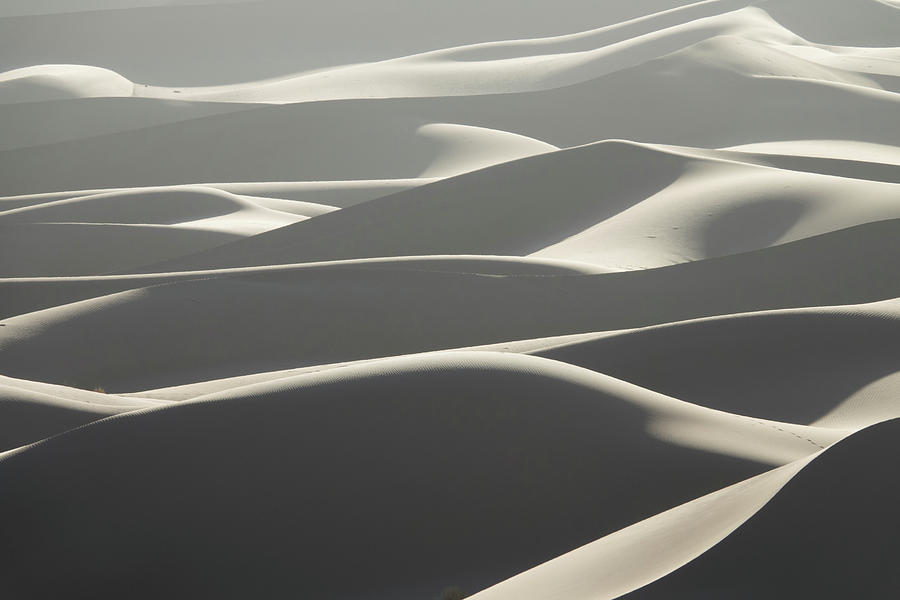 Background with sandy dunes in desert #2 Photograph by Mikhail Kokhanchikov
