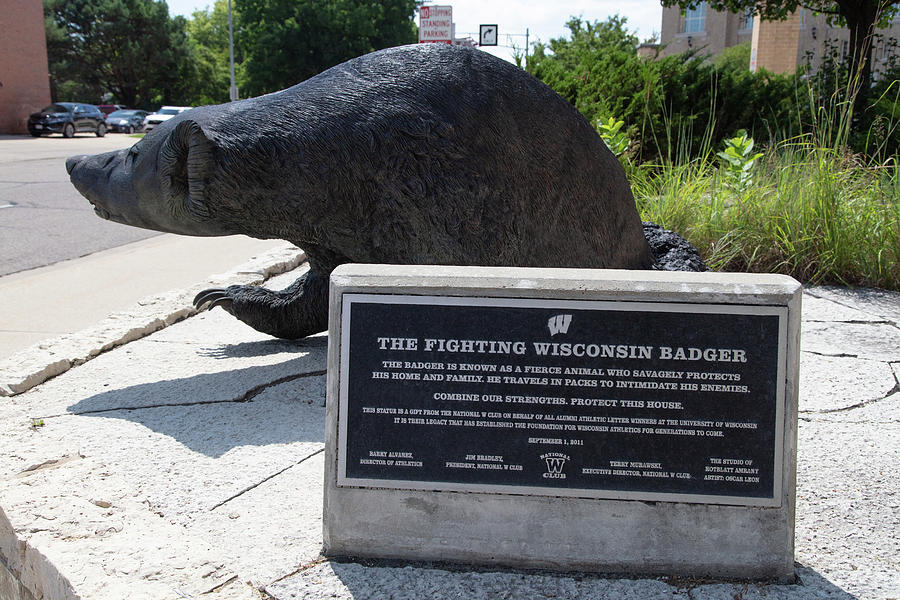 Badger statue on the University of Wisconsin campus Photograph by Eldon