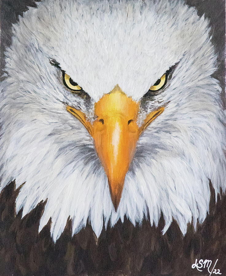 Bald Eagle Painting by Linda Shannon Morgan