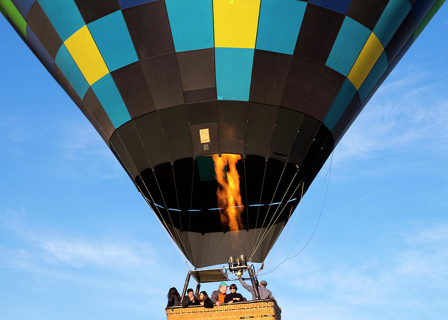 Balloons over Napa Photograph by William Dougherty