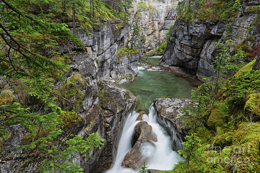 Banff and Jasper National Park #2 Photograph by Steve Javorsky