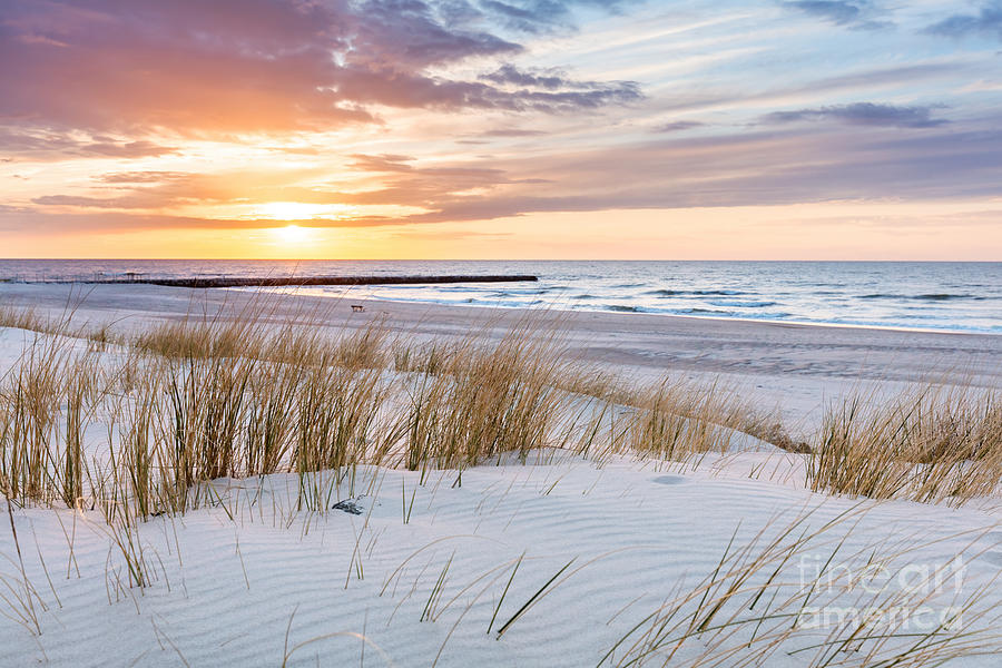 Beach grass on dune, Baltic sea at sunset #2 Photograph by Michal Bednarek