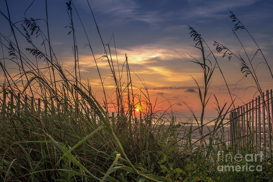 Beach Sunrise Photograph by Darrell Foster