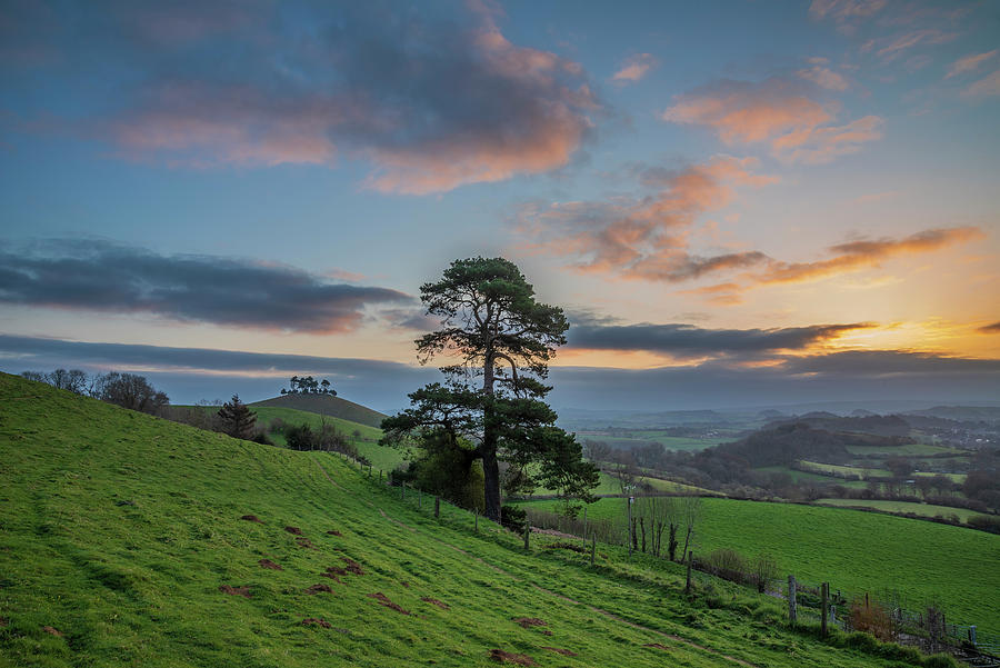 Beautiful Vibrant Sunrise Landscape Image Of Colmers Hill In Do Photograph