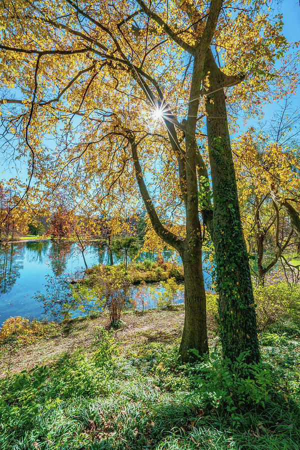 Beautiful View Overlooking A Lake At Spring Grove Cemetery Cincinnati Ohio #1 Photograph by Dave Morgan