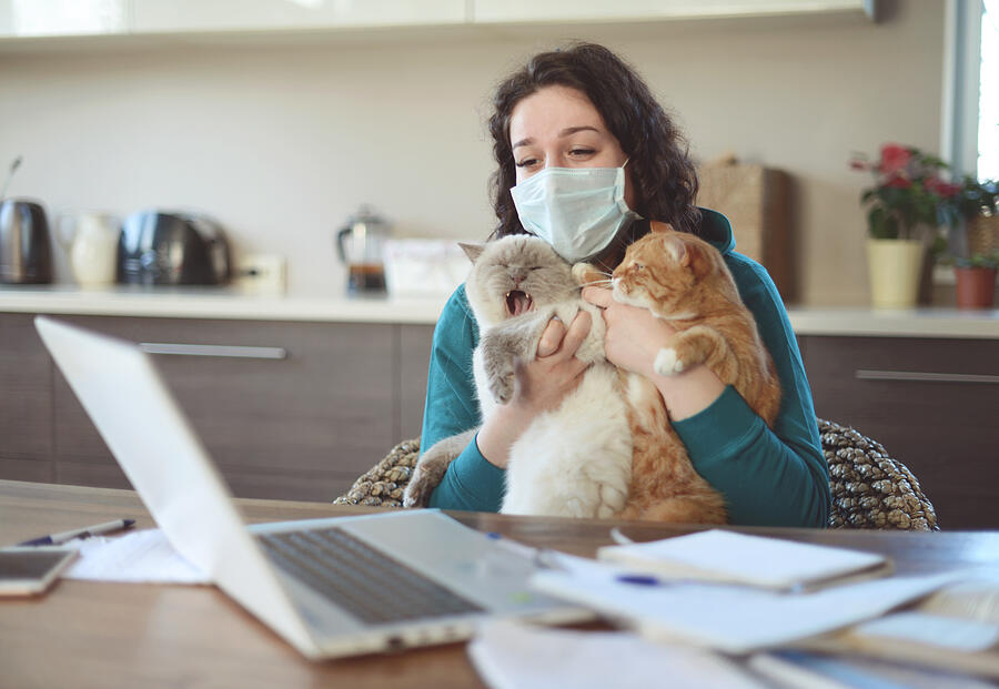 Beautiful young woman working at home in the mask with cat #2 Photograph by Elenaleonova