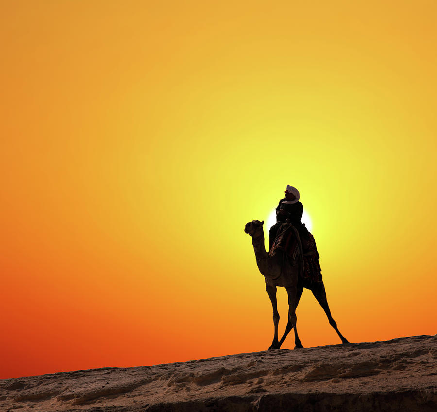 Bedouin On Camel Silhouette Against Sunrise #2 Photograph by Mikhail Kokhanchikov