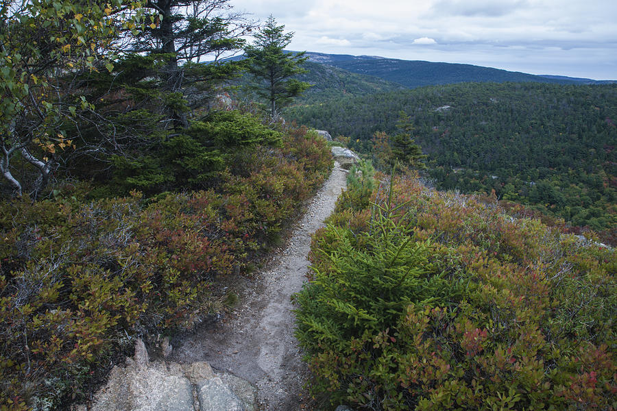 Beech Mtn Trail, Acadia #2 Photograph by Jerry Whaley