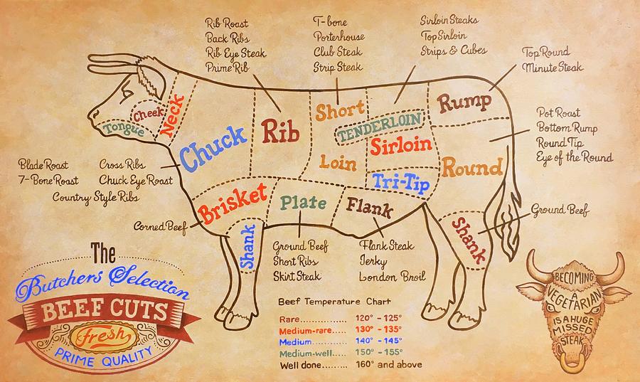 Beef Cuts Chart #2 Painting by Glenda Stevens