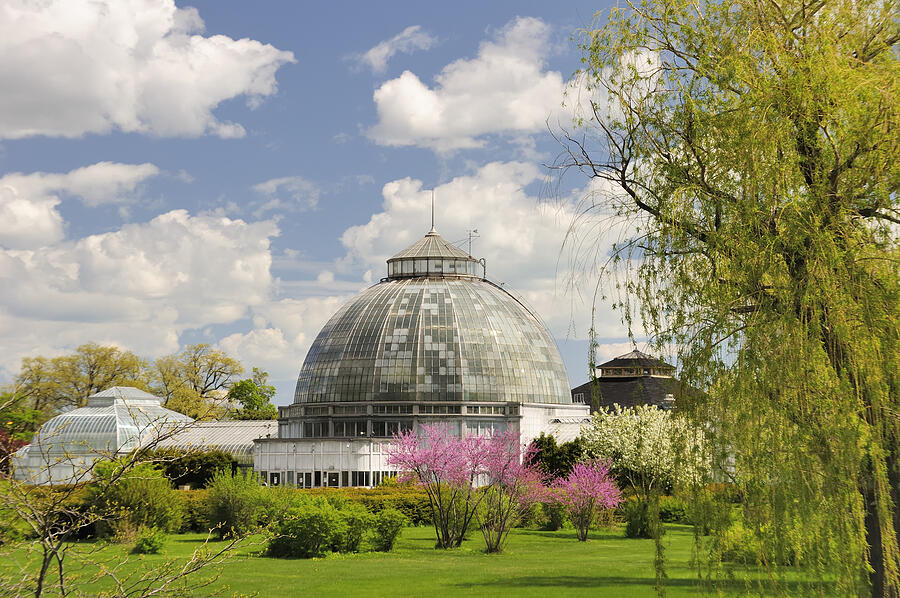Belle Isle Conservatory #2 Photograph by RiverNorthPhotography