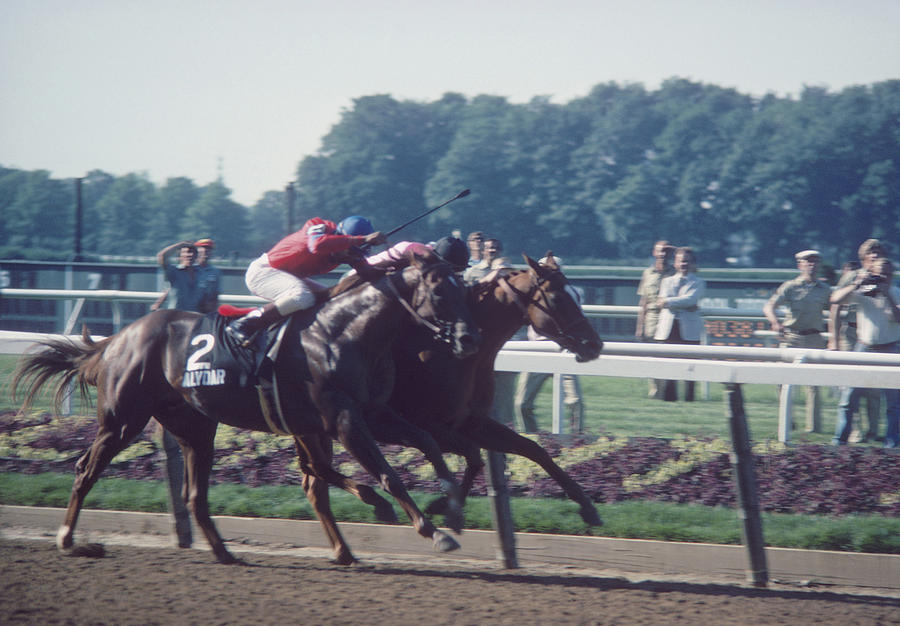 Belmont Stakes #2 Photograph by Focus On Sport
