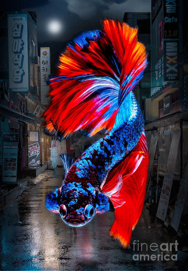 Fish Digital Art - Beta Fish by Mark Ashkenazi