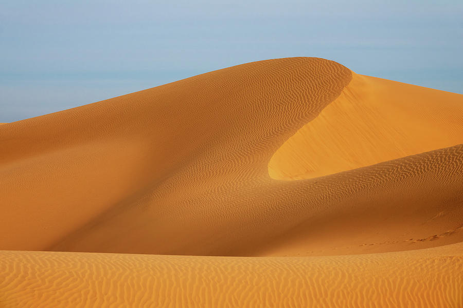 Big sand dune in Sahara desert #2 Photograph by Mikhail Kokhanchikov