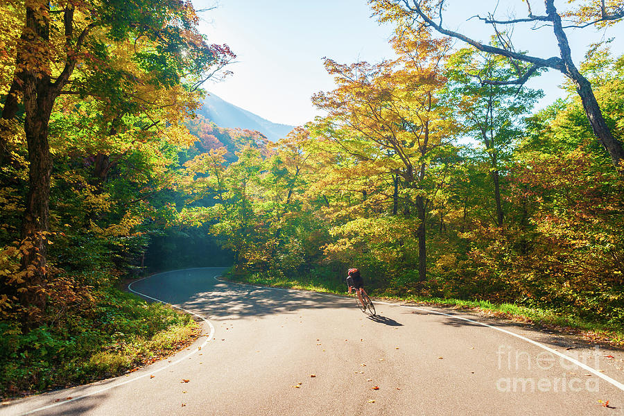 Biking down a S-Shaped country road on a colorful autumn day #2 Photograph by Don Landwehrle