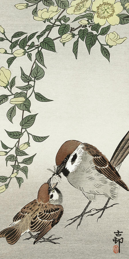 Ohara Koson Painting - Birds and plants #3 by Ohara Koson