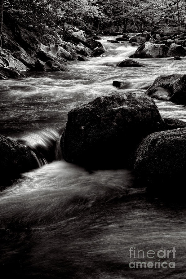 Black And White River #2 Photograph by Phil Perkins