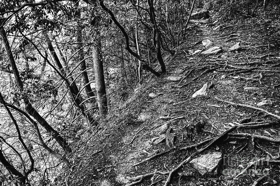 Black And White Trail #2 Photograph by Phil Perkins