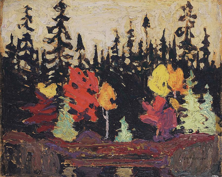 Tom Thomson Painting - Black Spruce and Maple  #2 by Tom Thomson