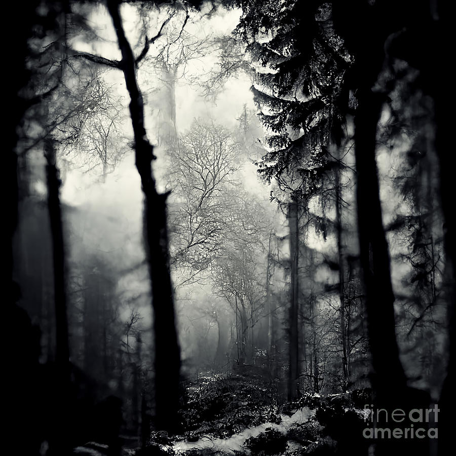 Nature Digital Art - Black winter forest #2 by Sabantha